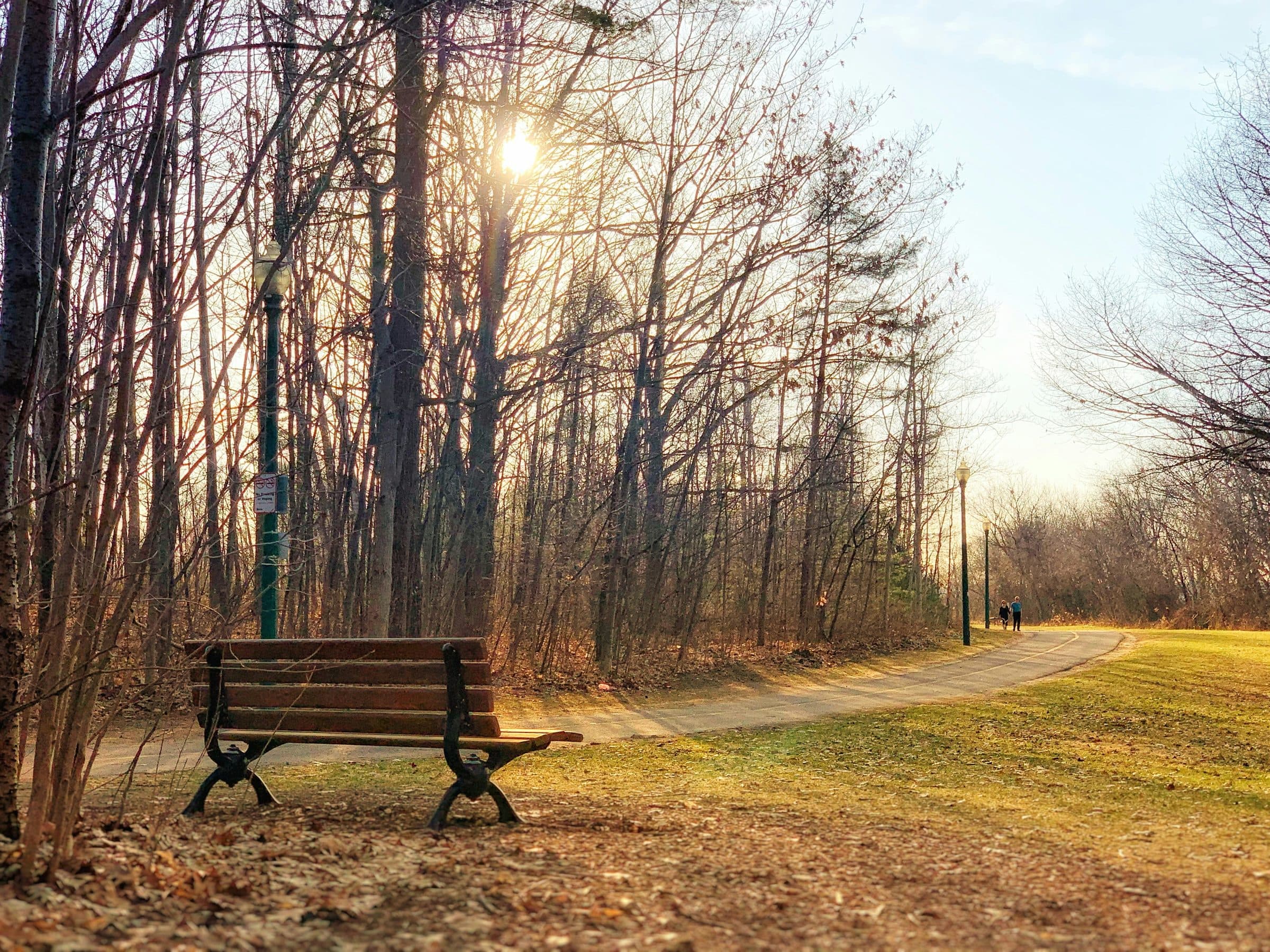 An empty park bench beside a curving path, with low winter sun coming through bare trees