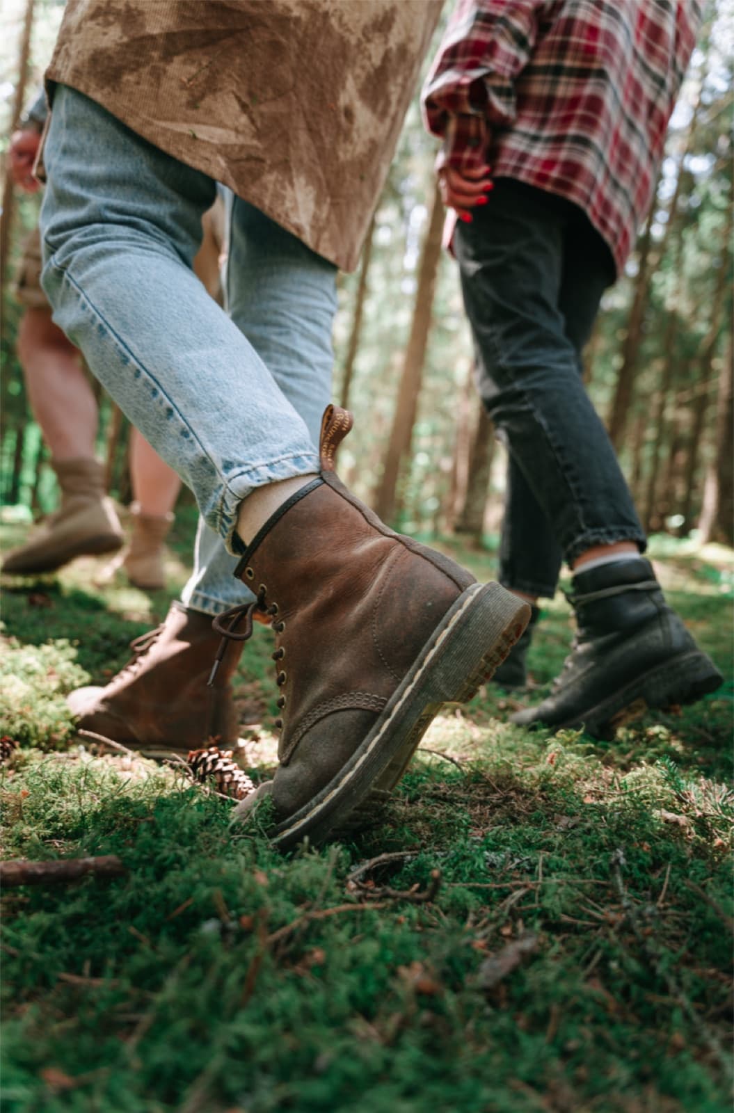 A wooded walking trail — walk and talk therapy in Mt. Juliet, TN