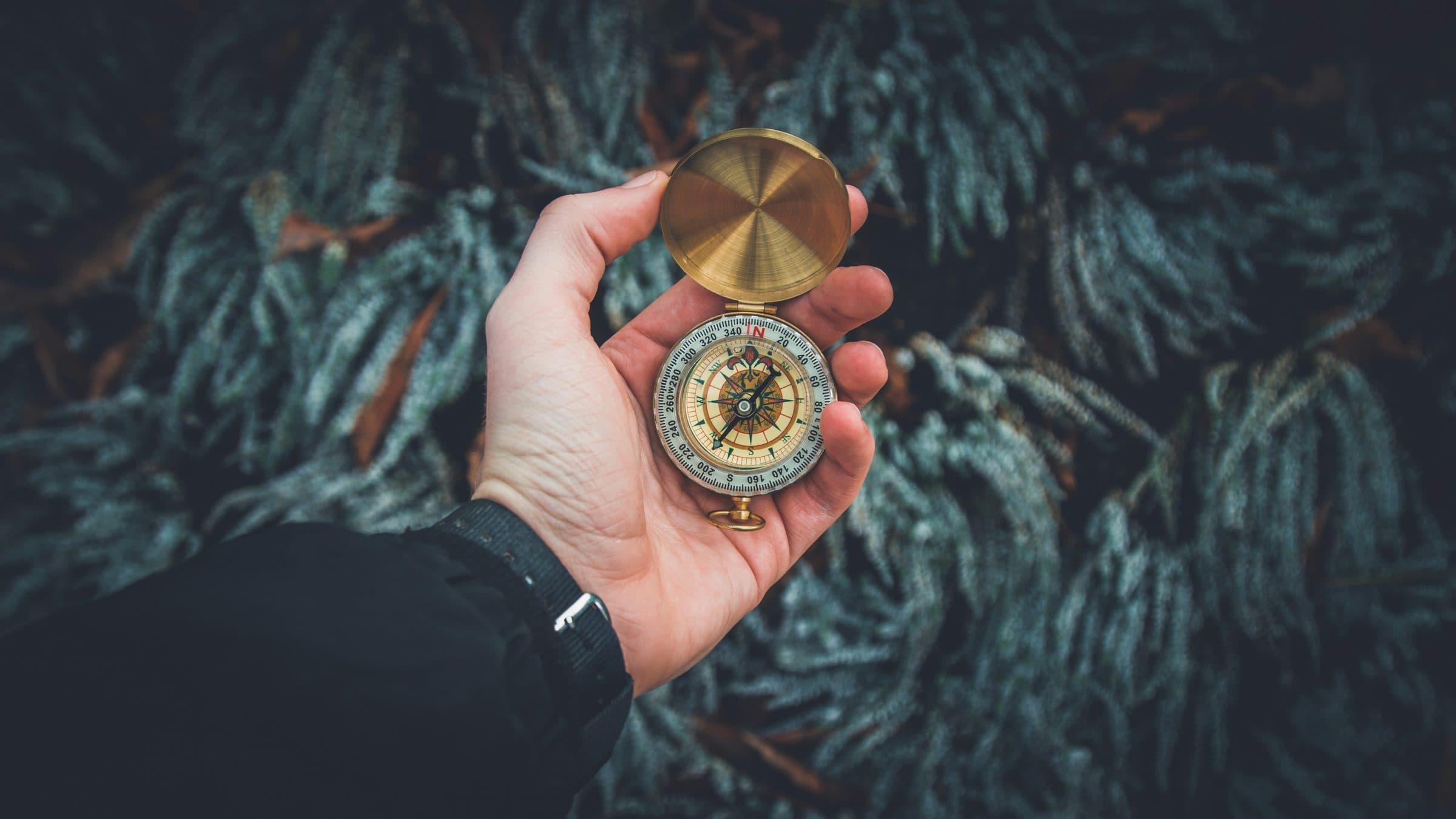 A hand holding an open brass compass over frosted winter heather