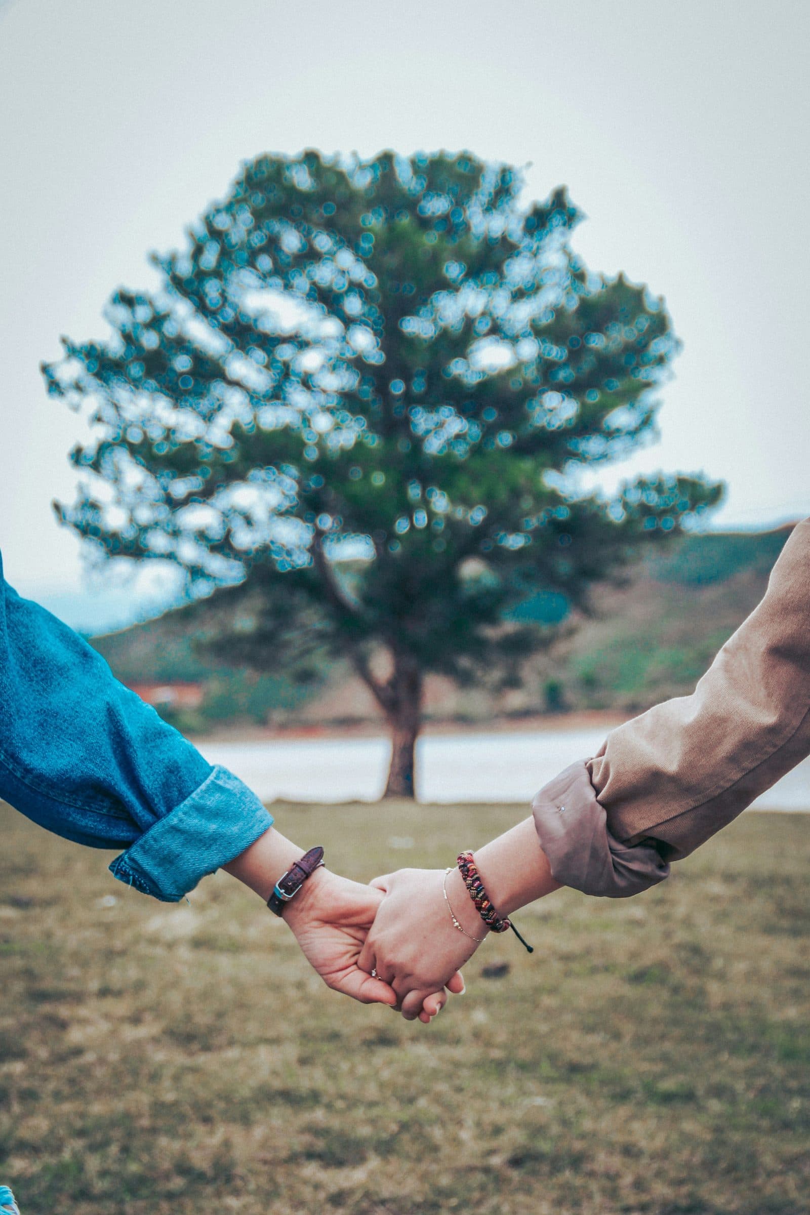 Two people holding hands, arms reaching in from either side, a tree in soft focus behind them