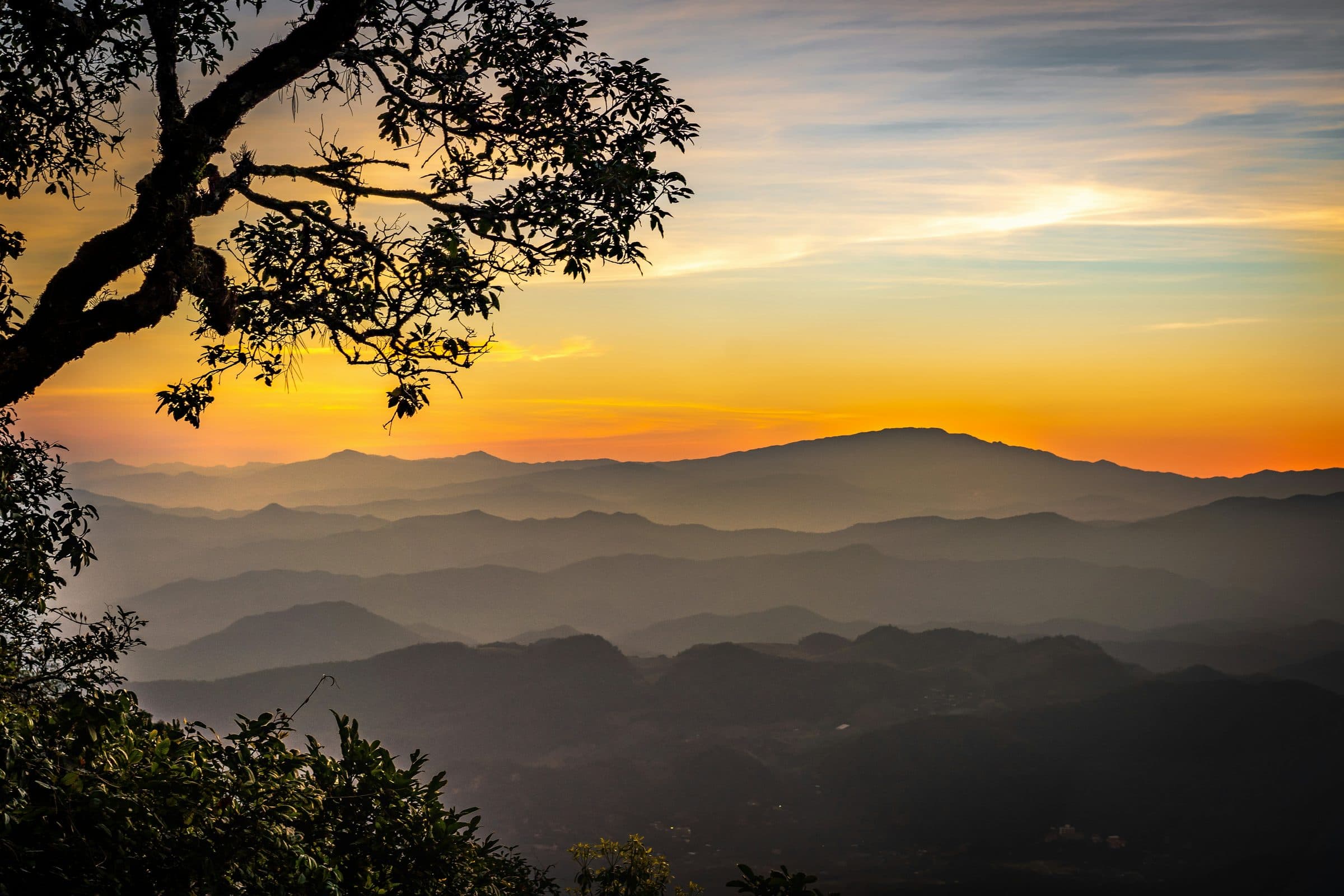 Dawn over layered mountain ridgelines, seen through the silhouetted branches of a tree